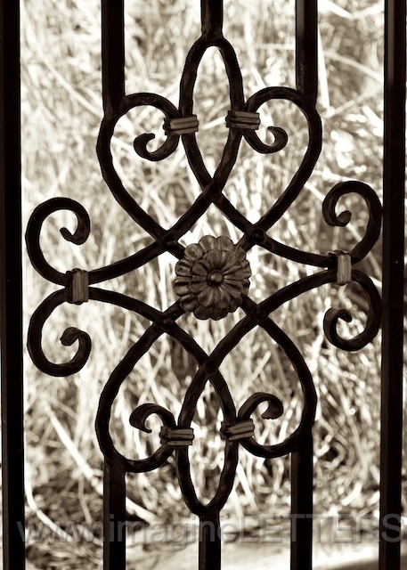 Wall_Art_Alphabet_Photography_Art_ 1603.jpg